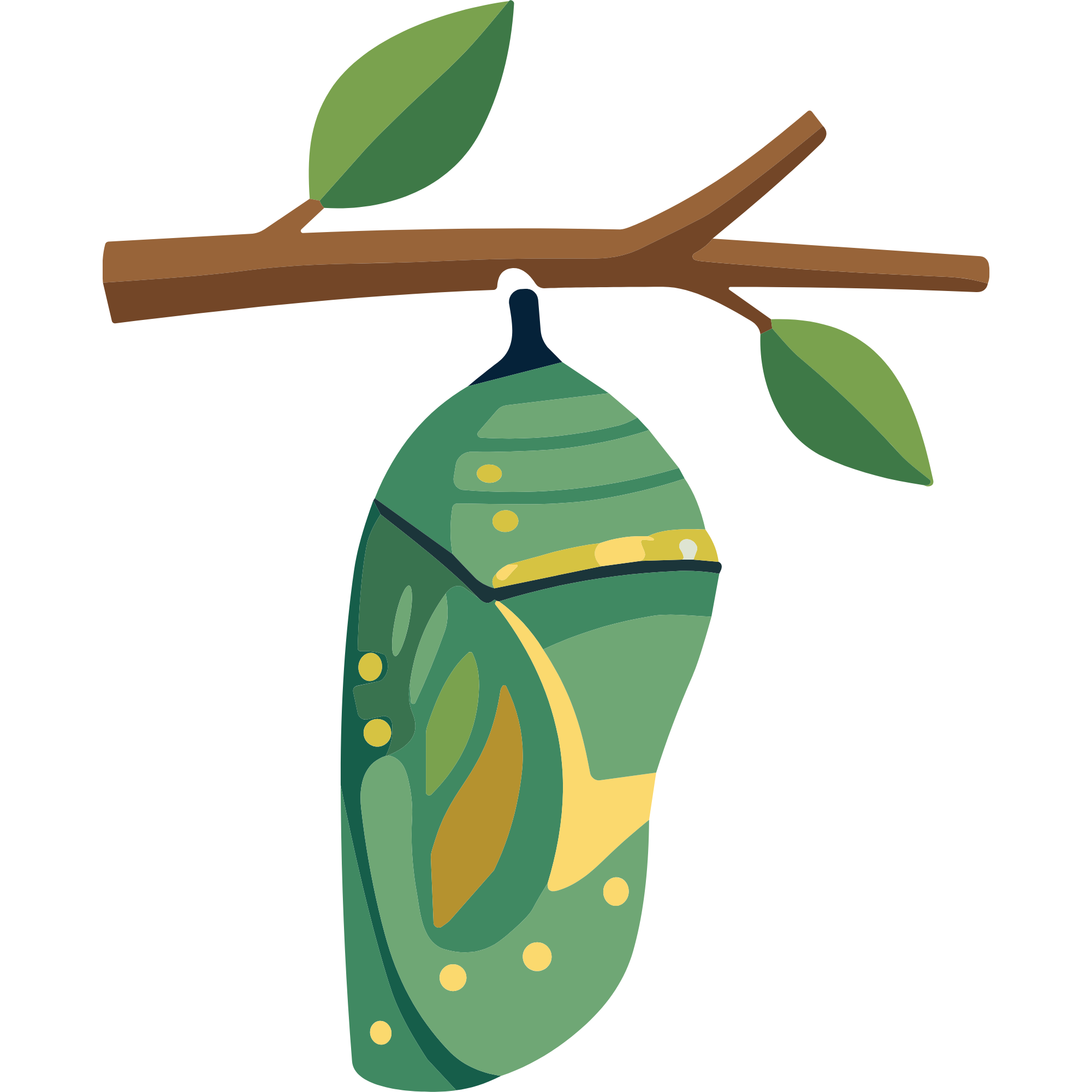 Cocoon