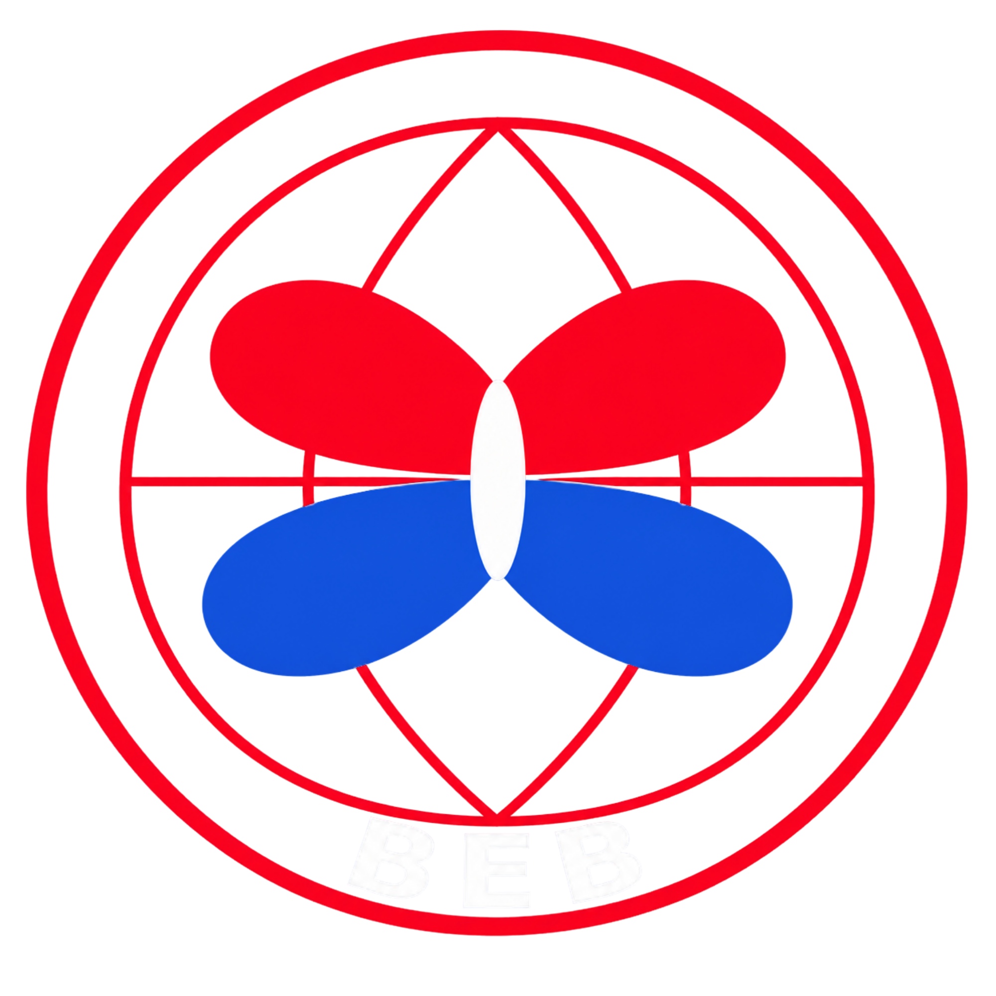Butterfly Effect Basketball Logo
